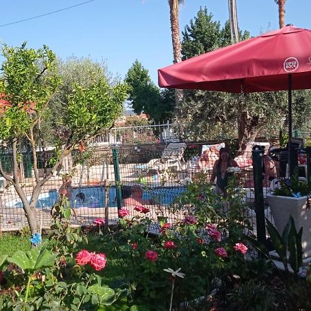 Quinta De Sao Marcos Guest House Fundão Екстериор снимка