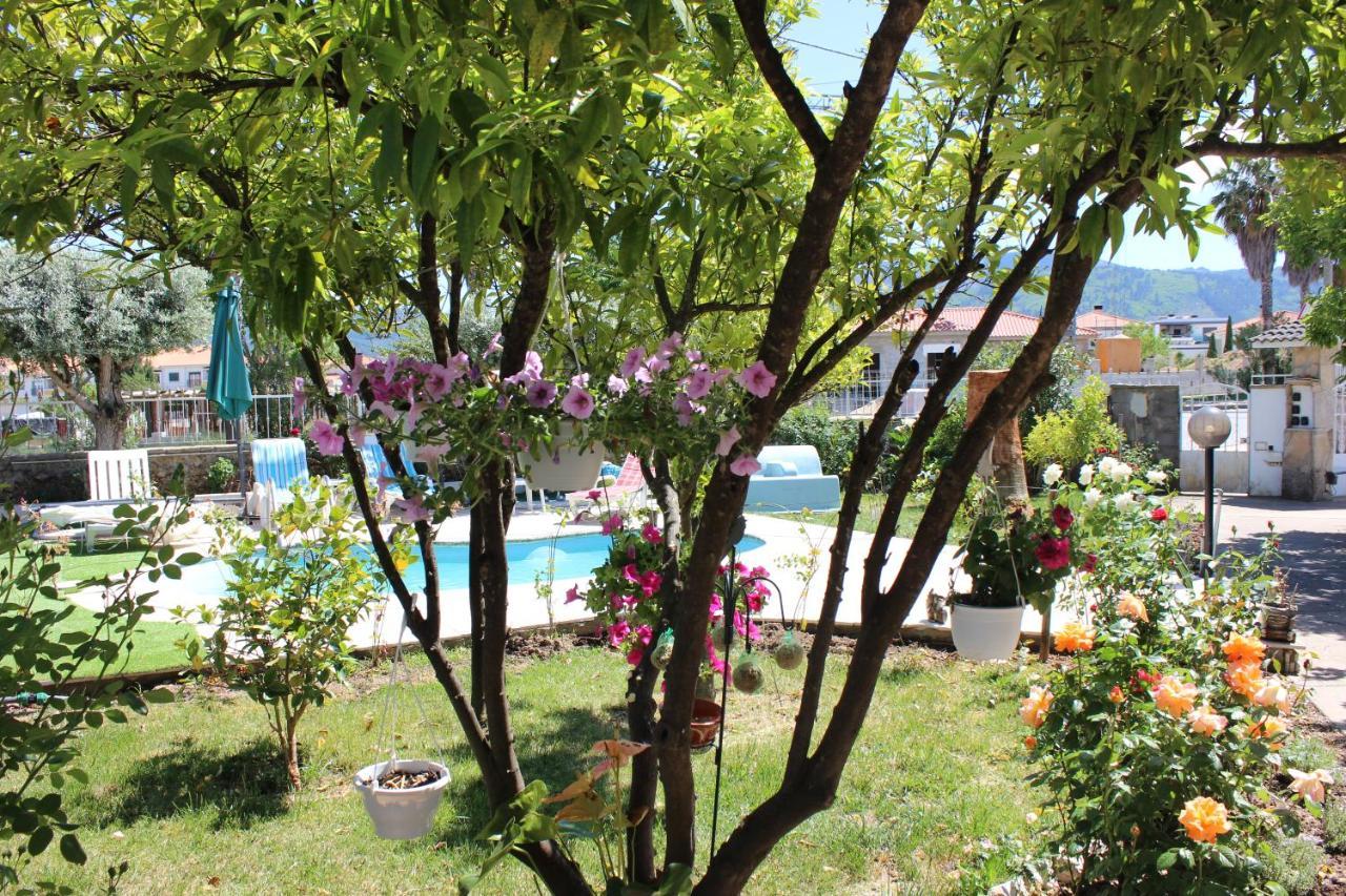 Quinta De Sao Marcos Guest House Fundão Екстериор снимка