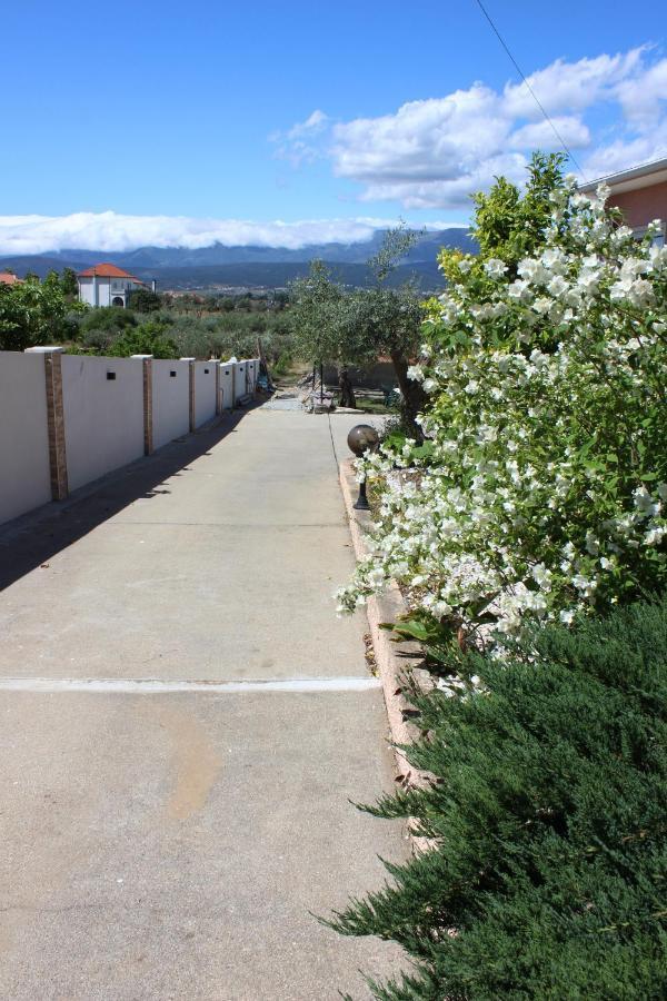 Quinta De Sao Marcos Guest House Fundão Екстериор снимка